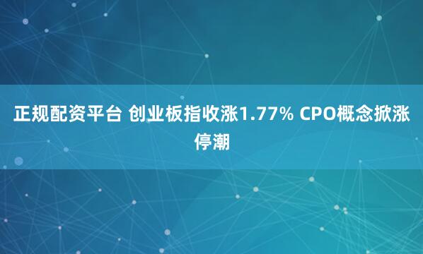 正规配资平台 创业板指收涨1.77% CPO概念掀涨停潮
